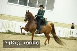 24R13_19009 proof