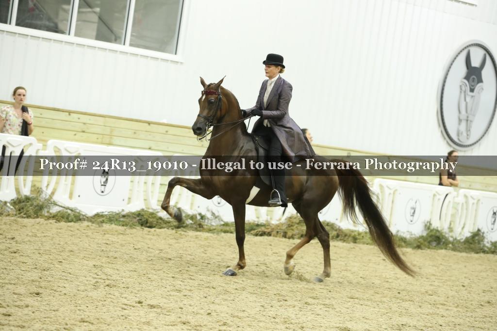 Proof 24R13_19010
