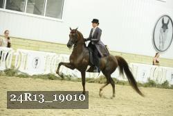 24R13_19010 proof