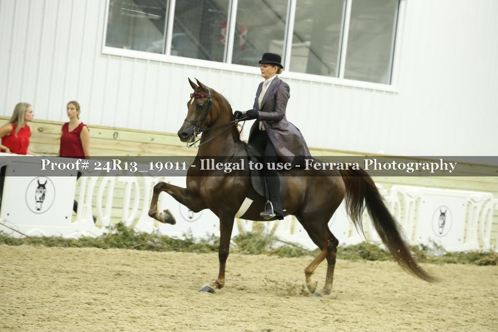 Proof 24R13_19011
