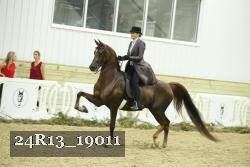 24R13_19011 proof