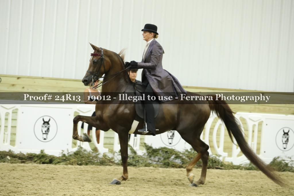 Proof 24R13_19012
