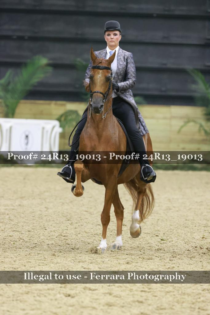 Proof 24R13_19013