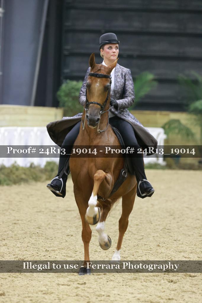 Proof 24R13_19014