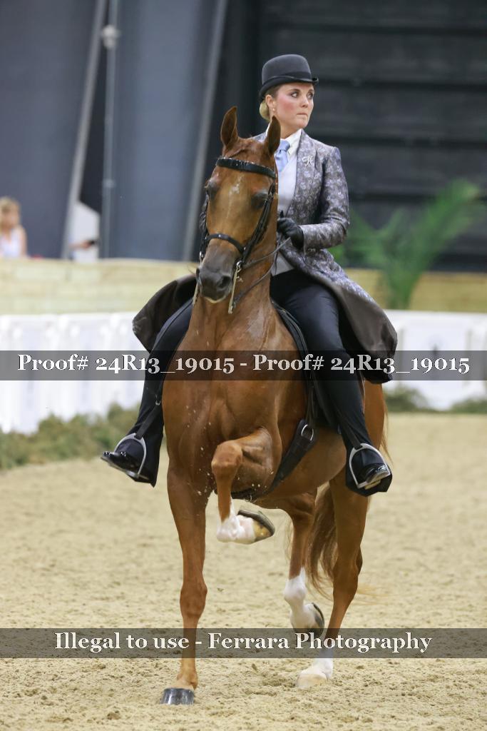 Proof 24R13_19015