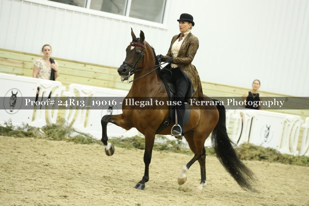 Proof 24R13_19016