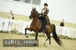 24R13_19016 proof