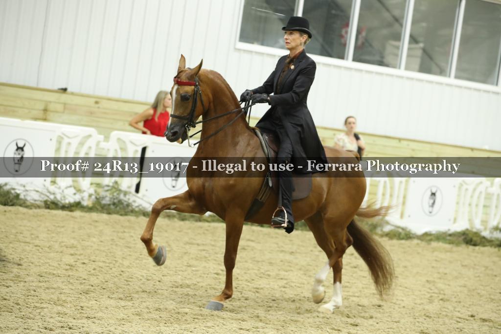 Proof 24R13_19017