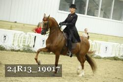 24R13_19017 proof