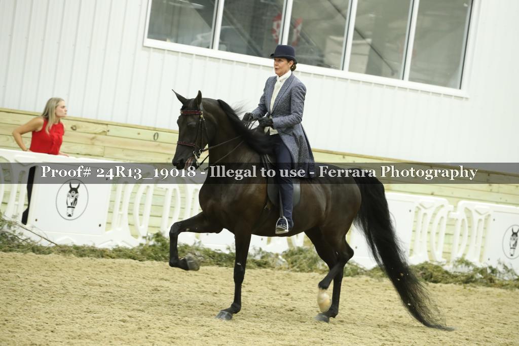 Proof 24R13_19018