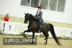24R13_19018 proof
