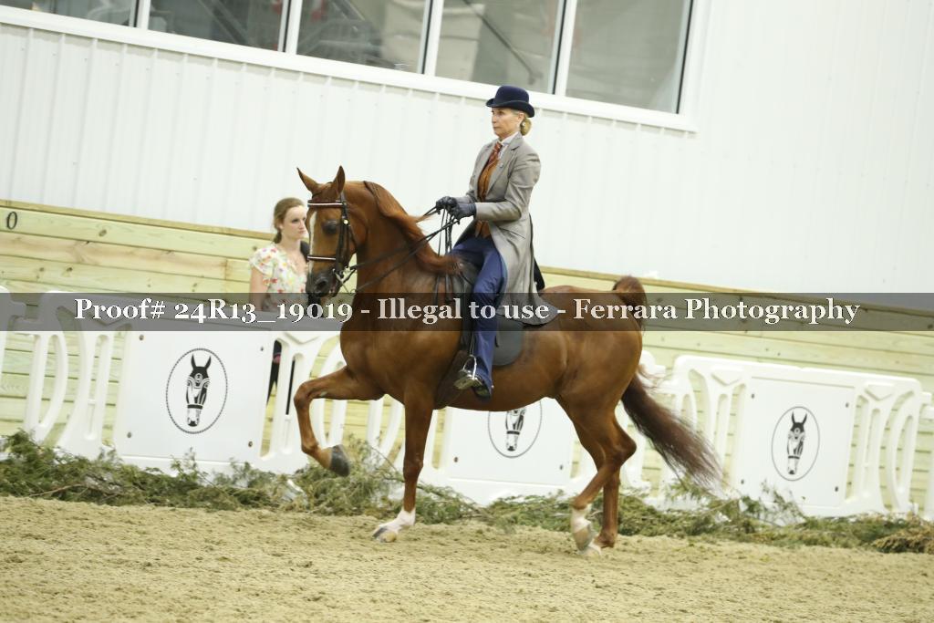 Proof 24R13_19019