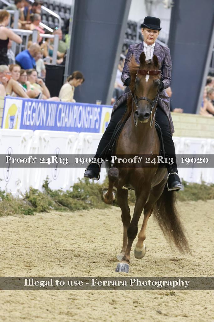 Proof 24R13_19020