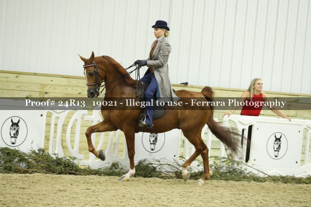 Proof 24R13_19021