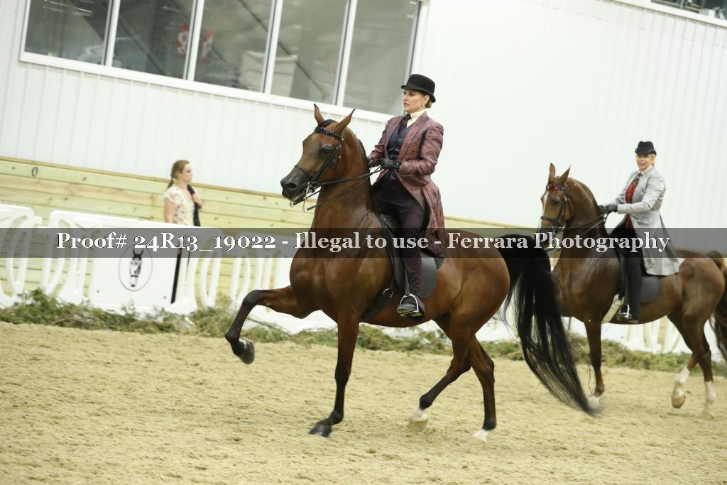 Proof 24R13_19022