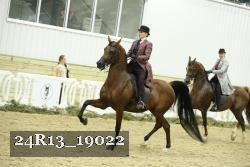24R13_19022 proof