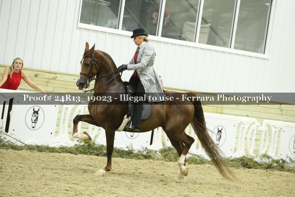 Proof 24R13_19023