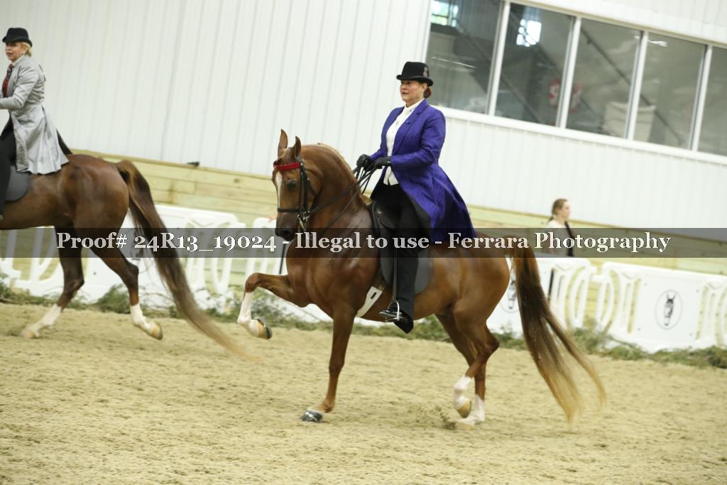 Proof 24R13_19024