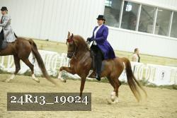 24R13_19024 proof