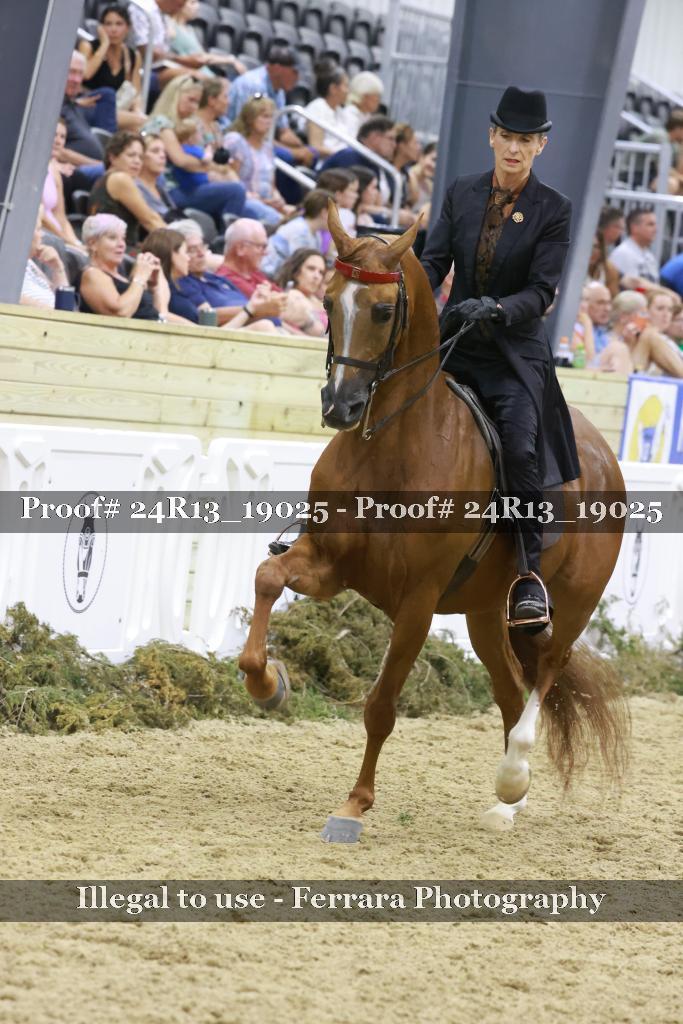 Proof 24R13_19025