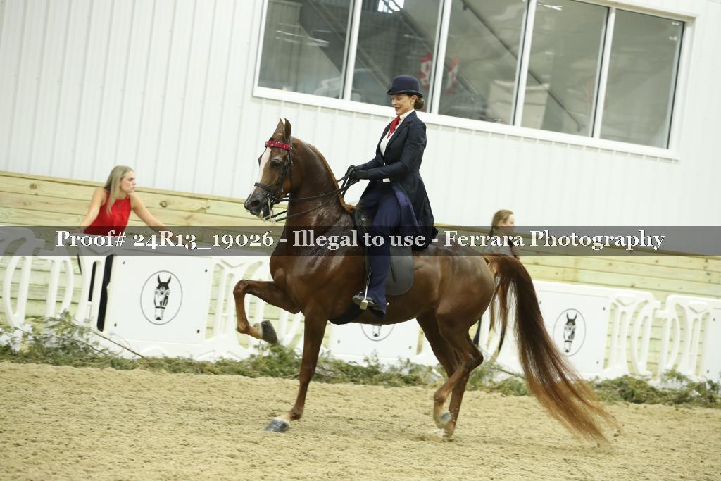Proof 24R13_19026
