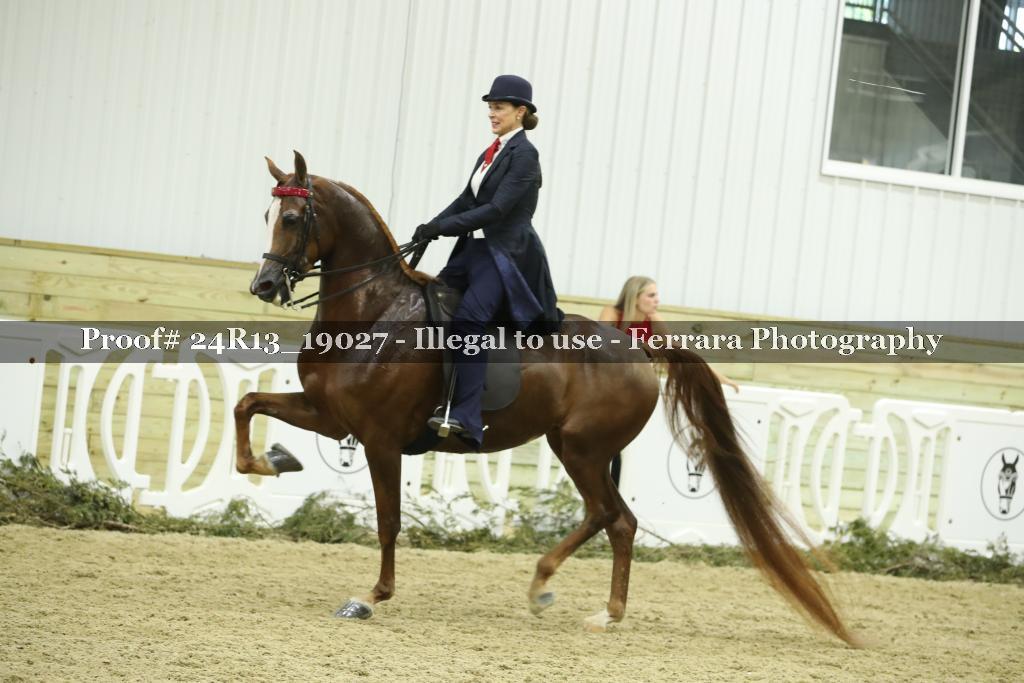 Proof 24R13_19027