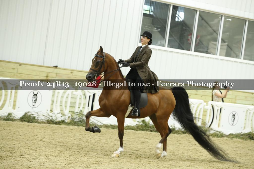 Proof 24R13_19028