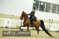 24R13_19028 proof