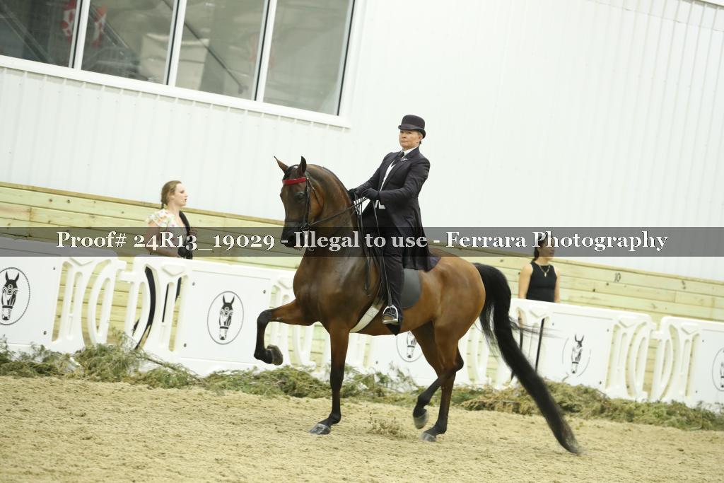 Proof 24R13_19029