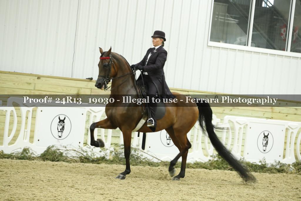 Proof 24R13_19030