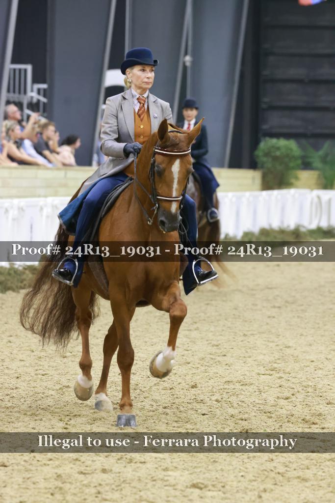 Proof 24R13_19031