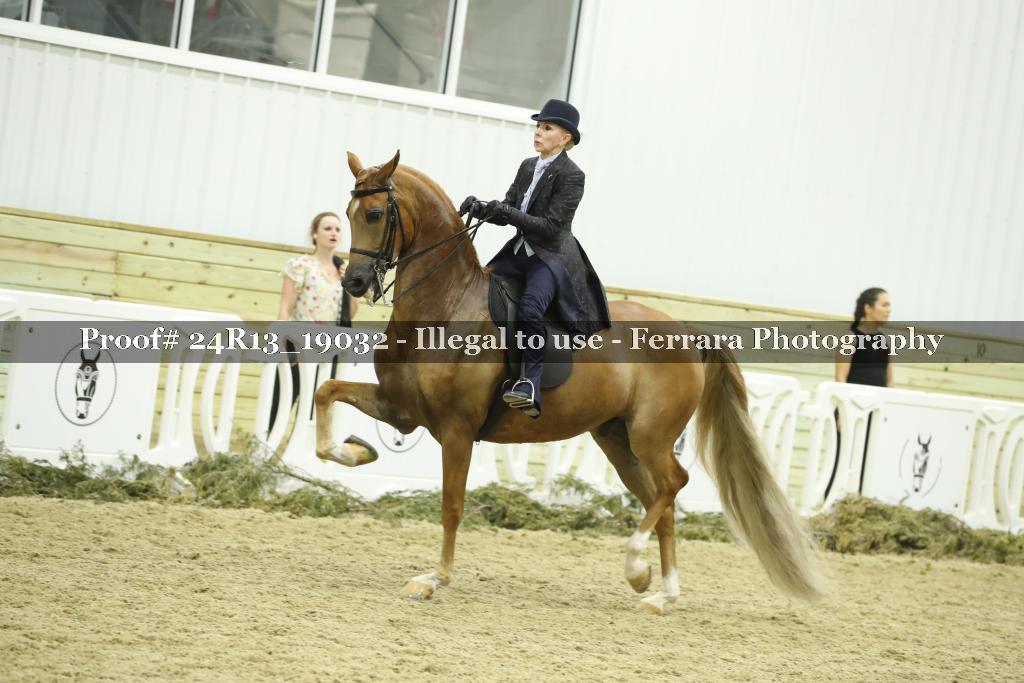 Proof 24R13_19032