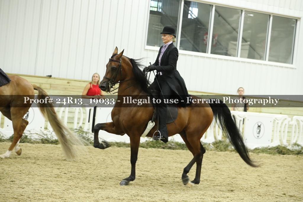 Proof 24R13_19033
