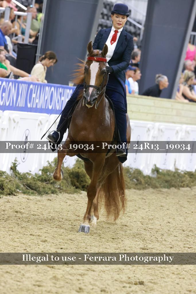 Proof 24R13_19034