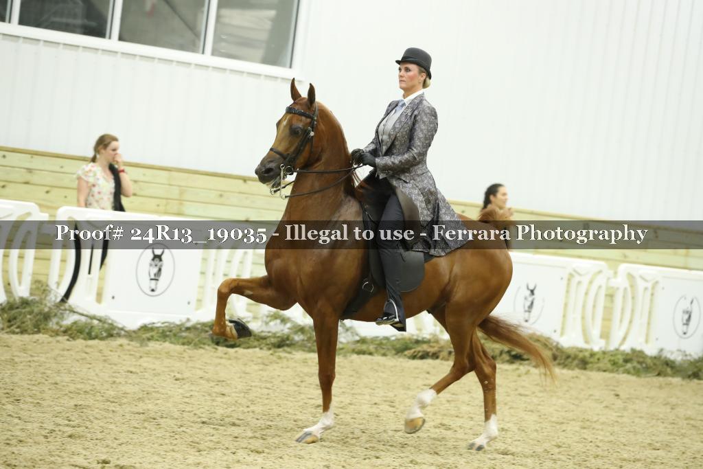 Proof 24R13_19035