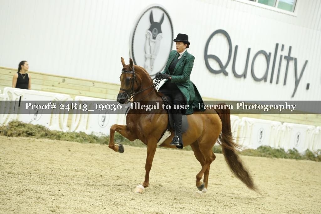 Proof 24R13_19036