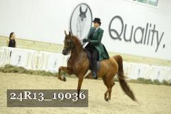 24R13_19036 proof