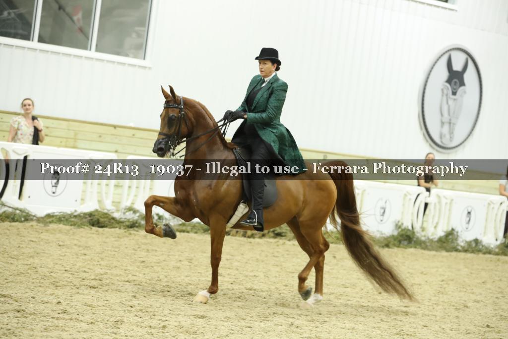 Proof 24R13_19037