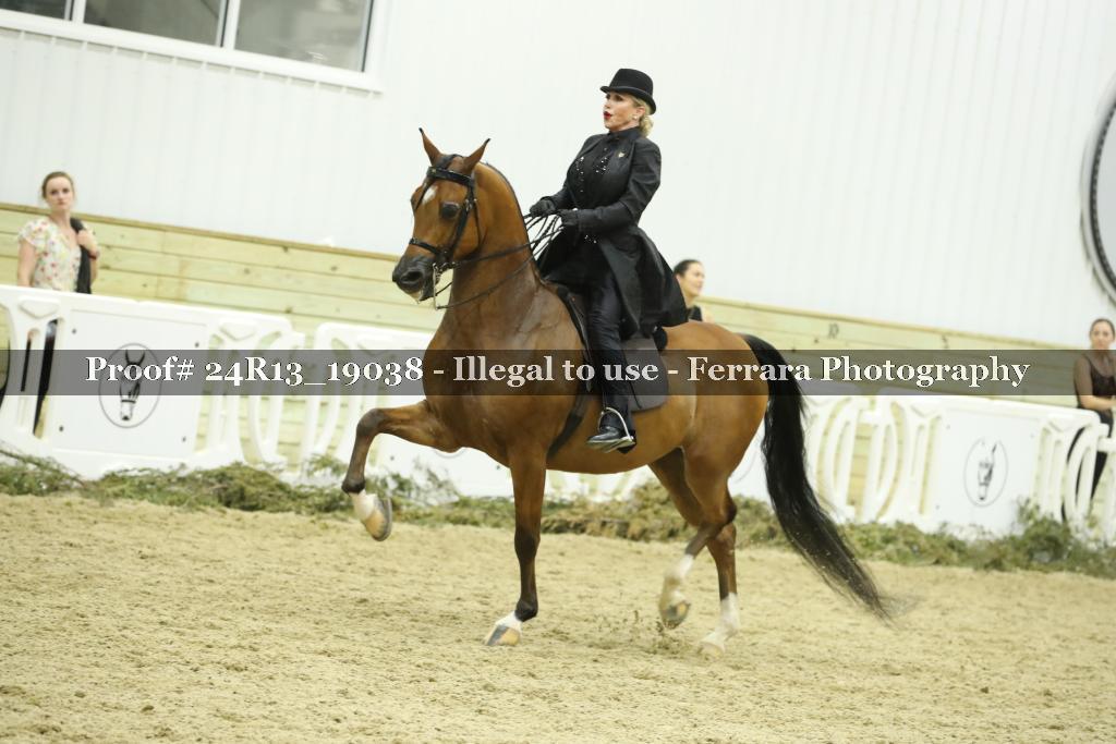 Proof 24R13_19038