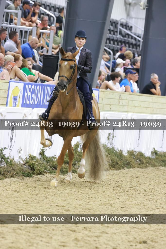 Proof 24R13_19039