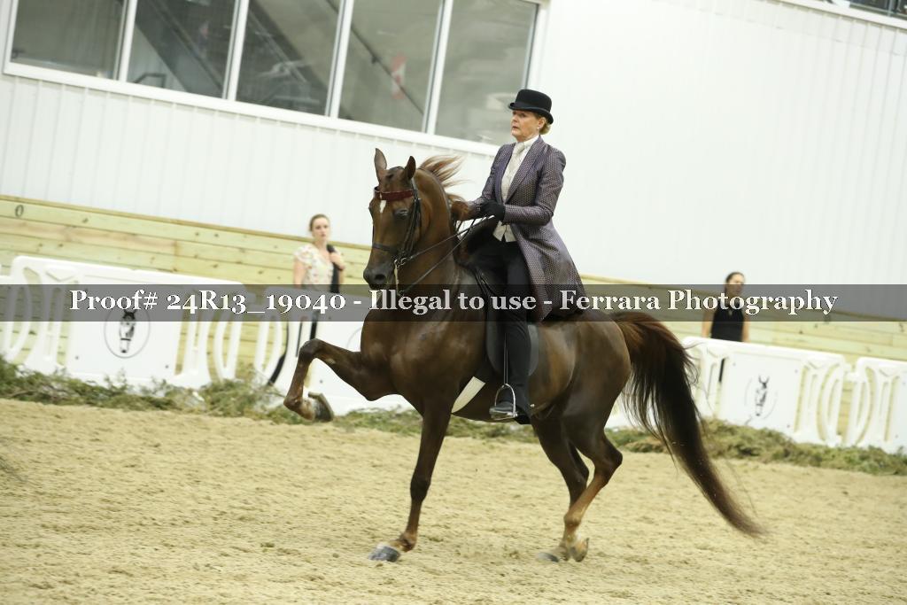 Proof 24R13_19040