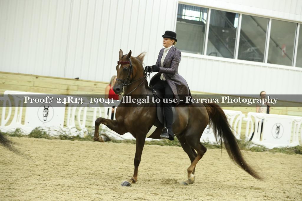 Proof 24R13_19041