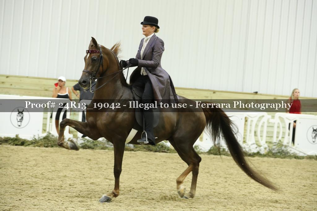 Proof 24R13_19042