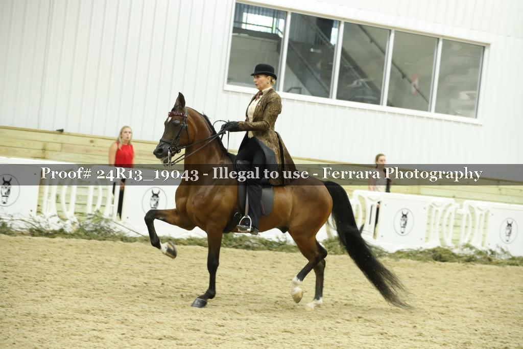 Proof 24R13_19043