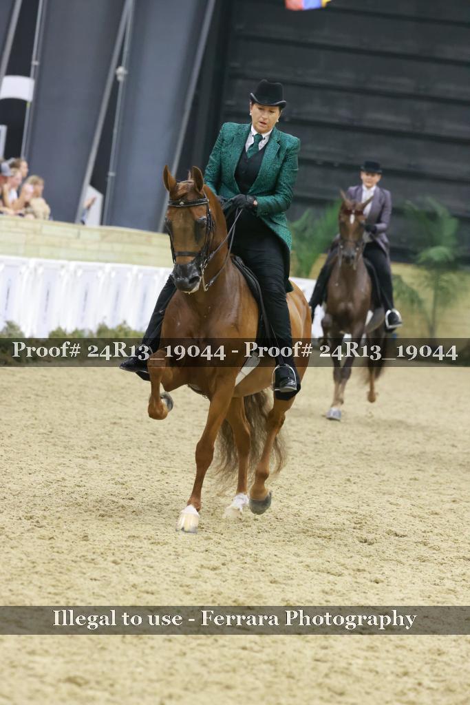 Proof 24R13_19044