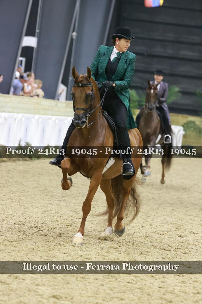 Proof 24R13_19045