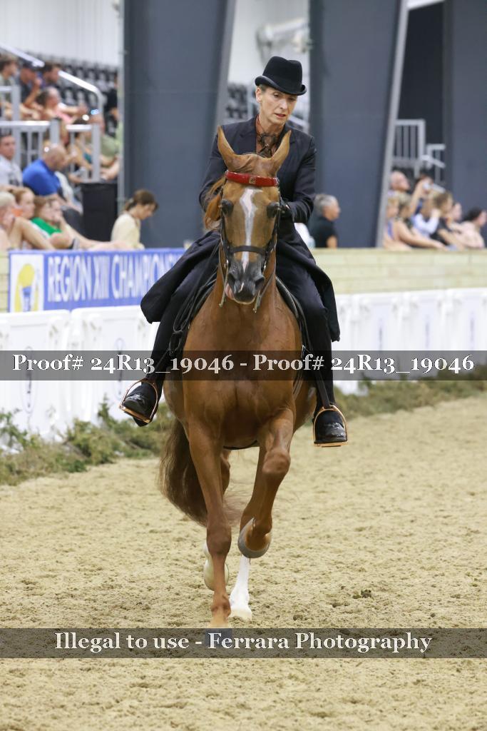 Proof 24R13_19046