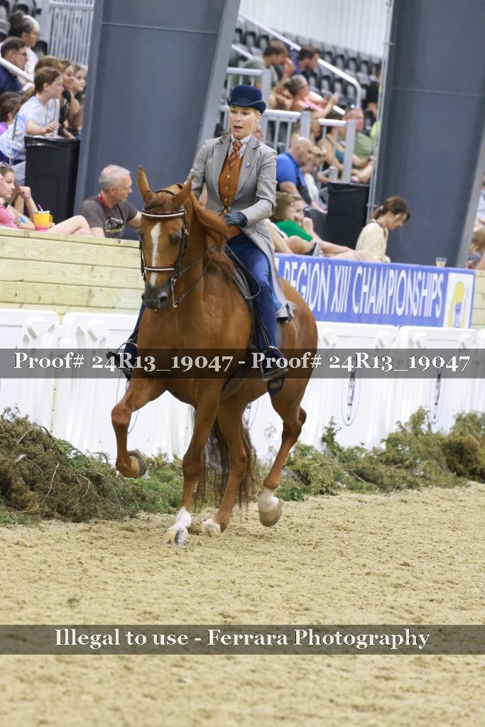 Proof 24R13_19047
