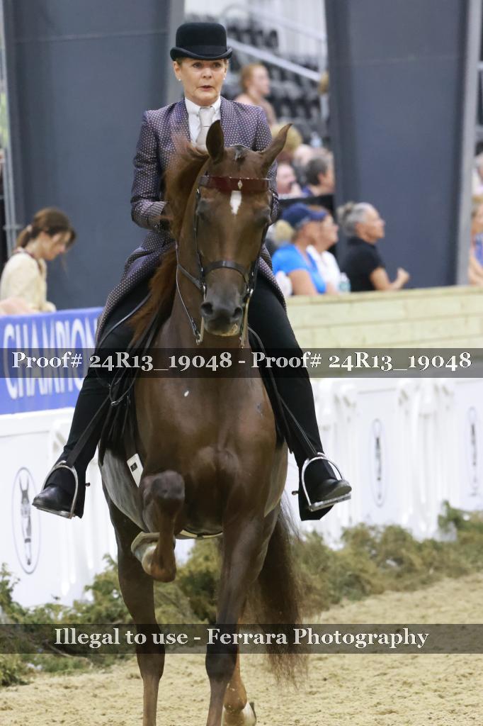 Proof 24R13_19048