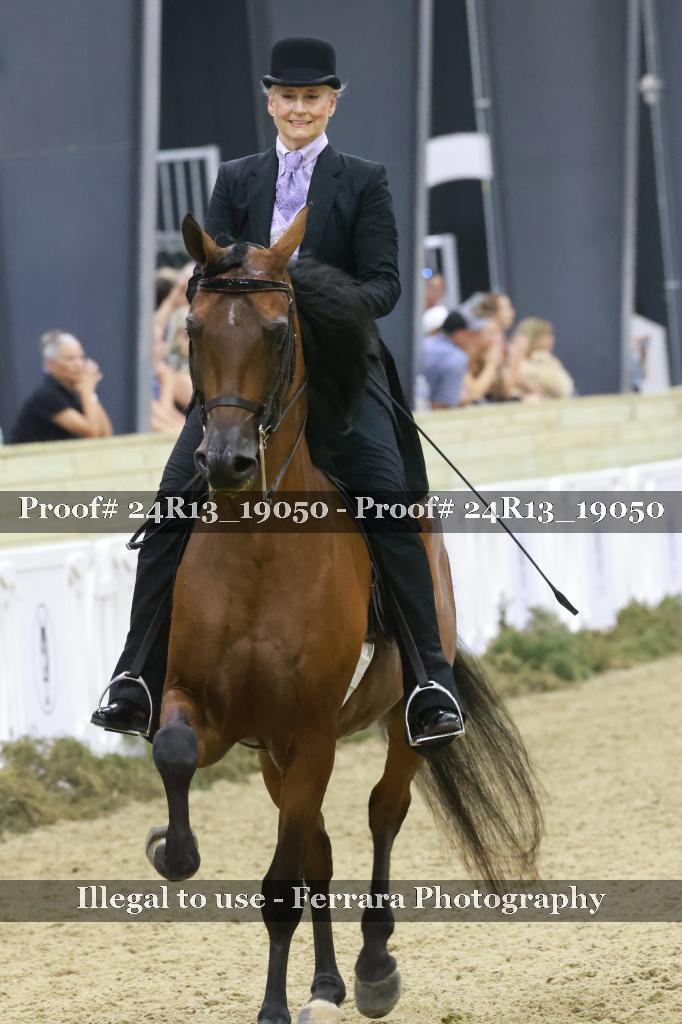 Proof 24R13_19050